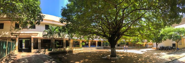 A wide view across the campus