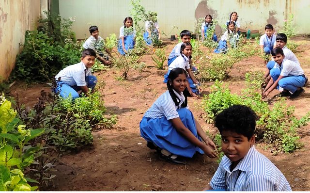 Working in the school garden