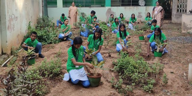 Planting out in the school garden